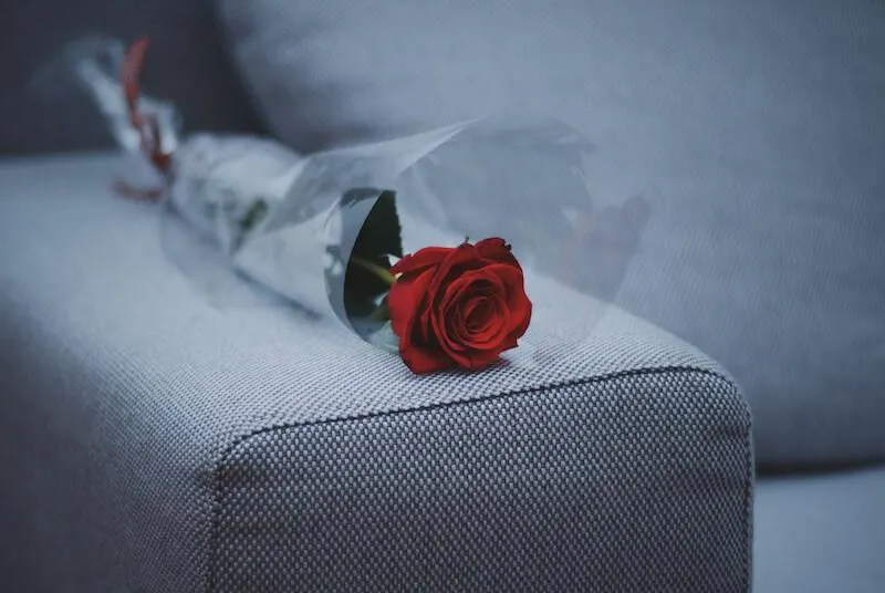 роза на диване